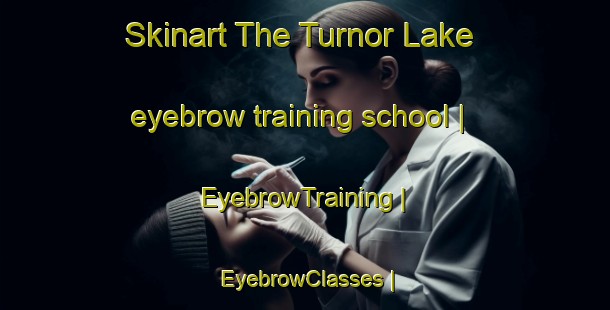 Skinart The Turnor Lake eyebrow training school | EyebrowTraining | EyebrowClasses | SkinartTraining-Canada